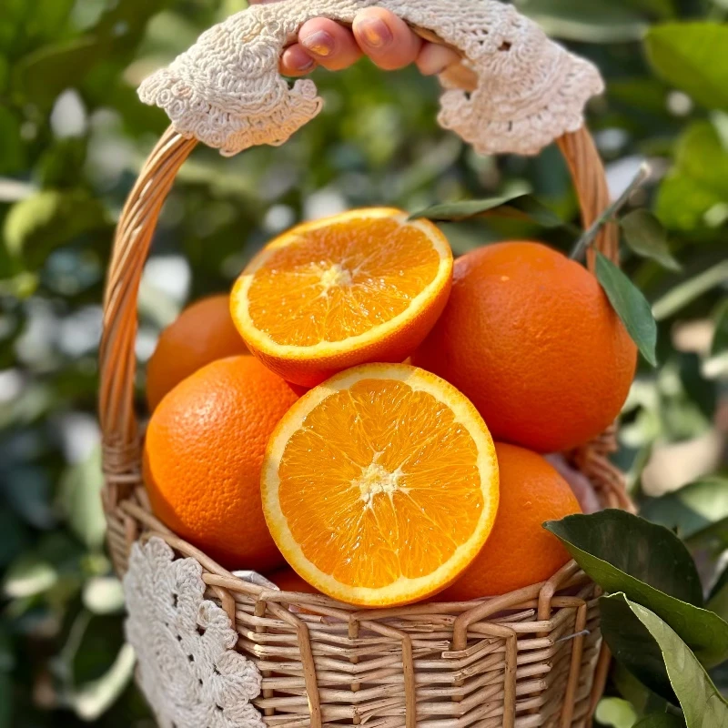 湖北秭归伦晚脐橙鲜橙爆汁甜橙橙子现摘应季新鲜水果香甜