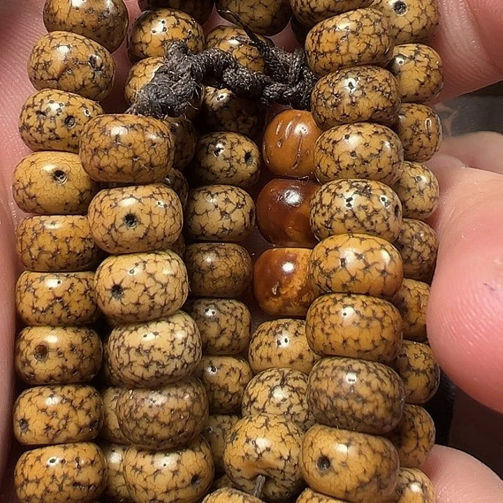 我们都是在这里看到的哈