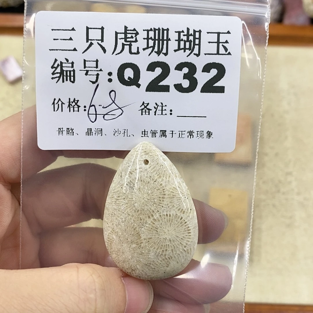硅化珊瑚（珊瑚玉）1未镶嵌石*道