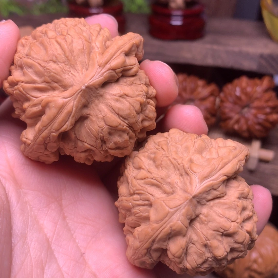 文玩核桃把件50.5龙鼎全品