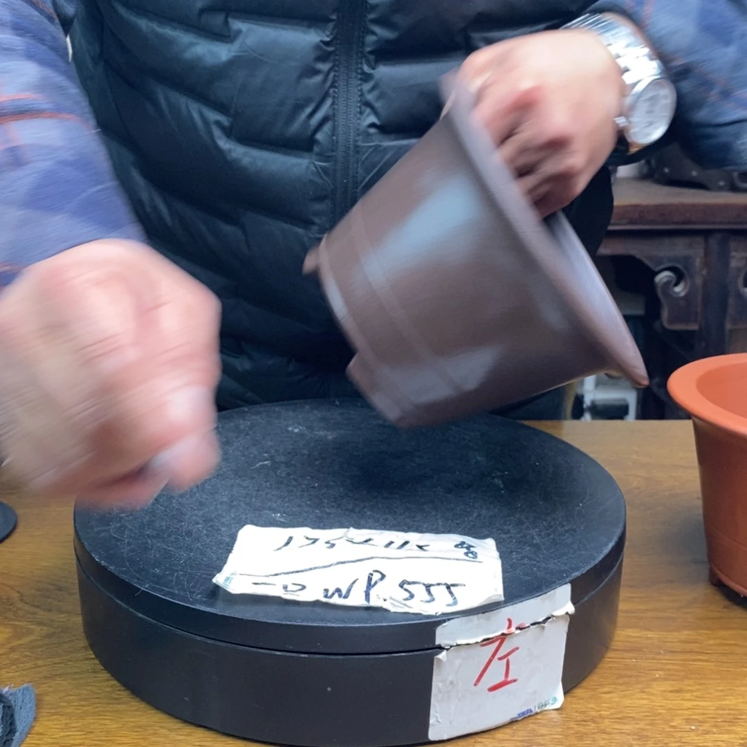 紫砂货号一只WP555