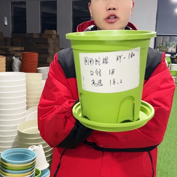 正品圆控口18高18果绿色8只带托