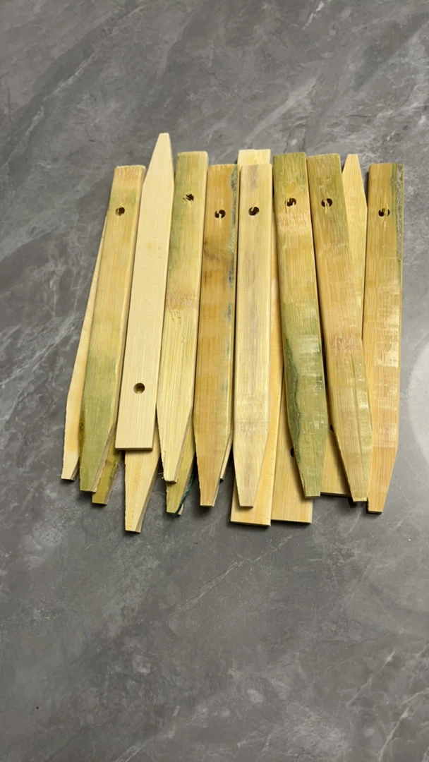 地插➕饵料球➕蚯蚓瓶➕蚯蚓球竹插地插