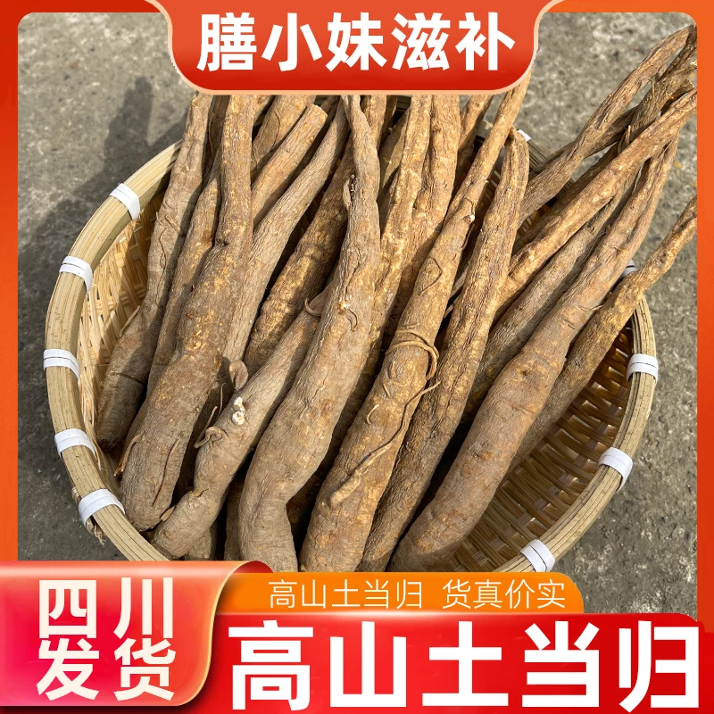 【正品】正宗四川阿坝土当归甜当归田当归小当归藏当归炖汤煲汤