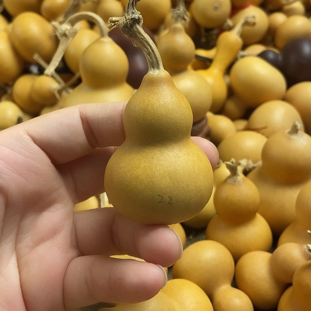 文玩葫芦 完美主义者 慎拍22