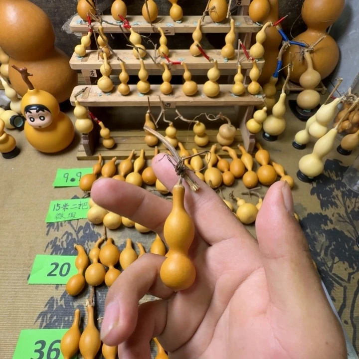 灯***晃精品手吧天津嘴葫芦