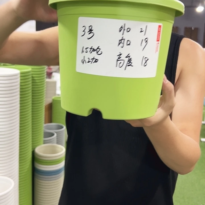 特价3号口21高18果绿色10支无托