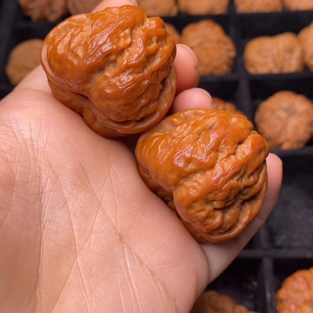 秦岭野生文玩核桃