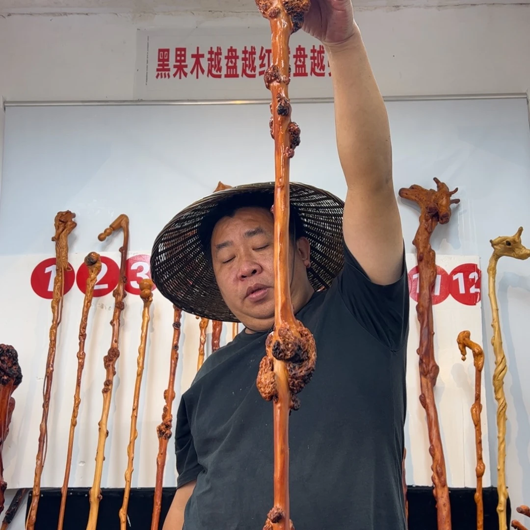 一***友黑果木其他黑果木229