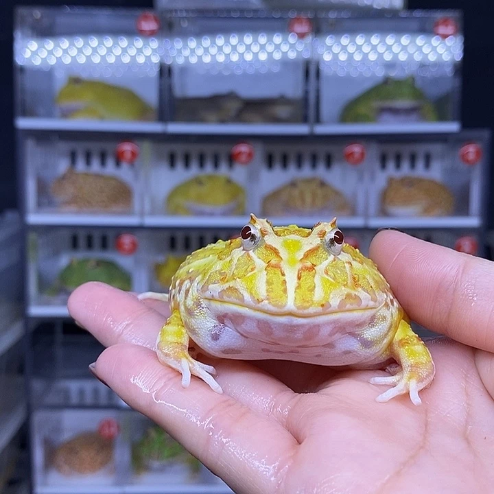 特价秒杀月销量第一