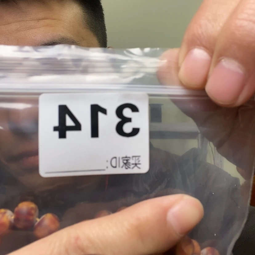 【闪购商品】核桃木/黑胡桃（胡桃木）壮*314