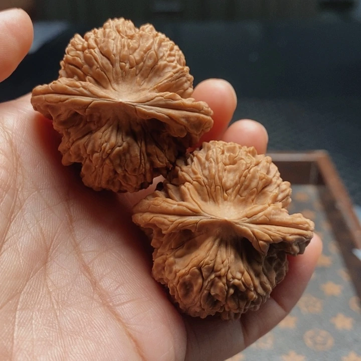 把件文玩核桃马老四42尺