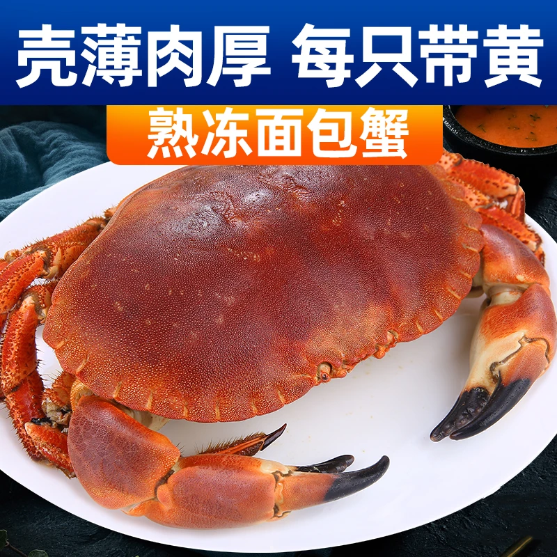 面包蟹 整只1.2斤/只 即食熟冻带膏面包蟹  达