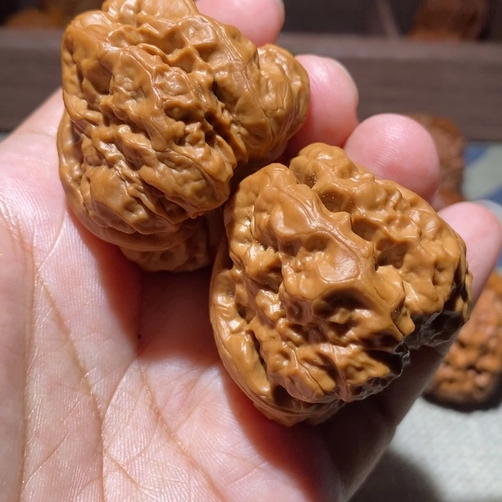 把件文玩核桃43*47三角毒蟾