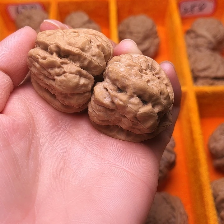 小***棉崖柏涞水山地果蛤莫头39尺