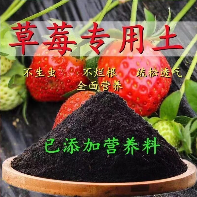 草莓苗营养土瓜果绿植通用到手5斤左右