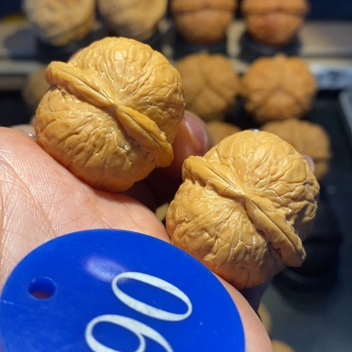 核桃粗筋蛇皮球尺寸32