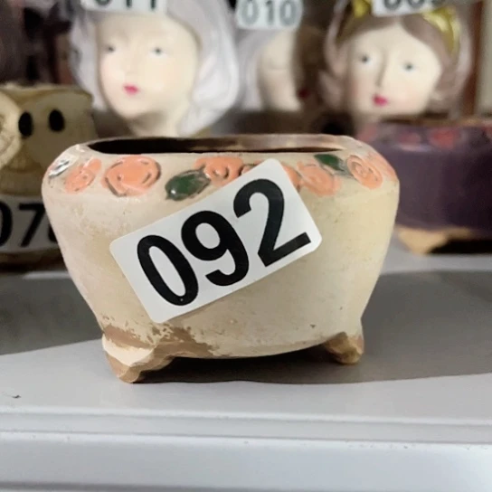 多肉植物花盆花盆