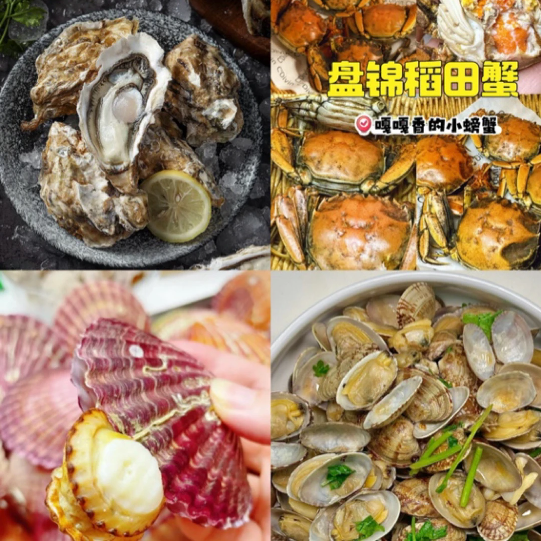 海鲜超值包:生蚝单只3+总净重3斤+滔田蟹1两总净重1斤+花甲总净重5斤+扇贝总净重3斤