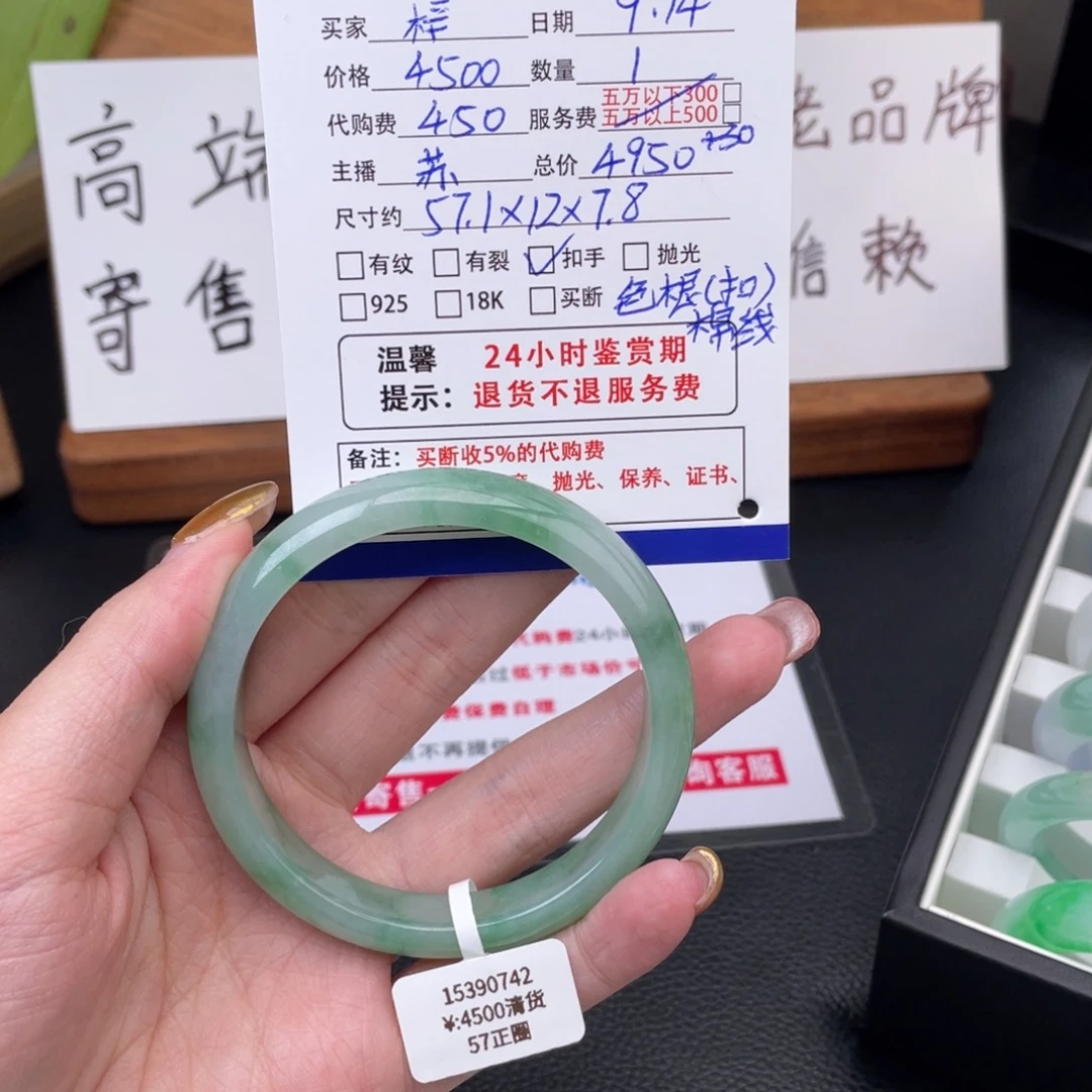 梓***呀未镶嵌手镯翡翠绿镯