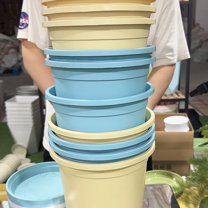 圆形控根口18高18混色10只带托