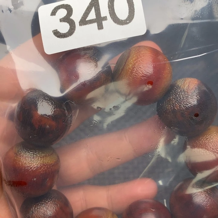 大果紫檀（缅甸花梨）