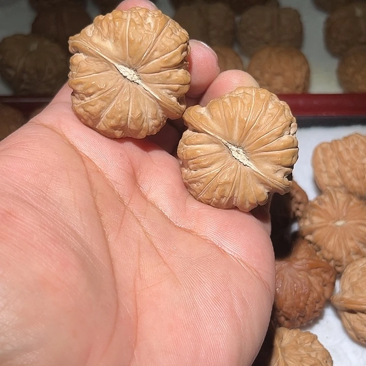 木44全品精致南瓜敦。