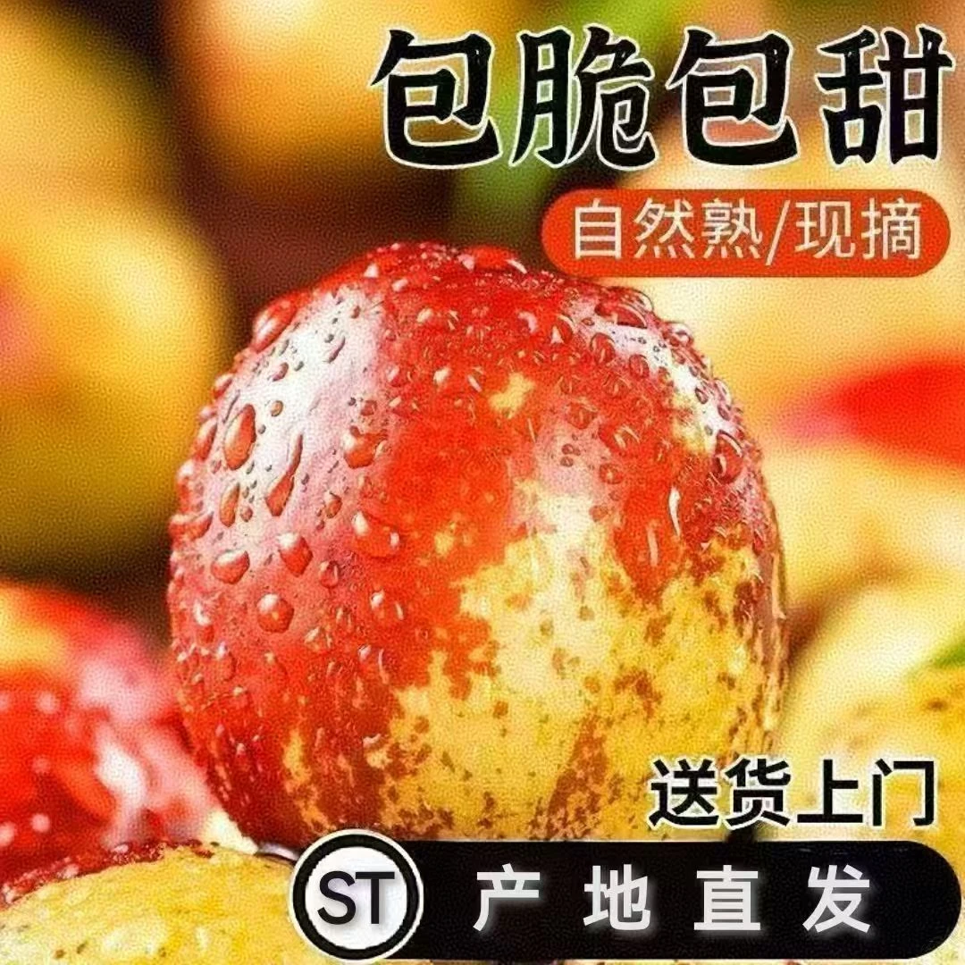 【清早采摘】现摘发货新鲜冰糖枣子冬枣新鲜当季水果甜脆鲜枣