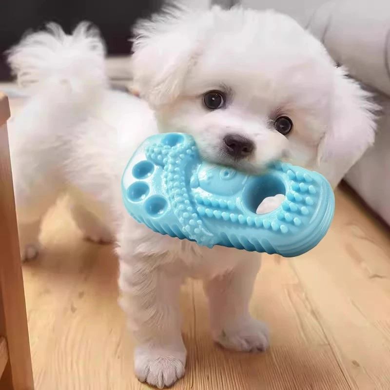 狗狗玩具拖鞋磨牙洁齿泰迪小中型犬耐咬拉扯自嗨解闷神器宠物用品
