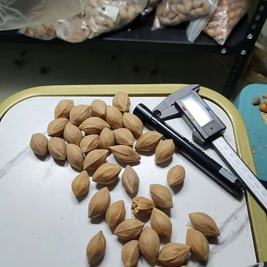 龙***面橄榄核吊坠黄胖水晶核
