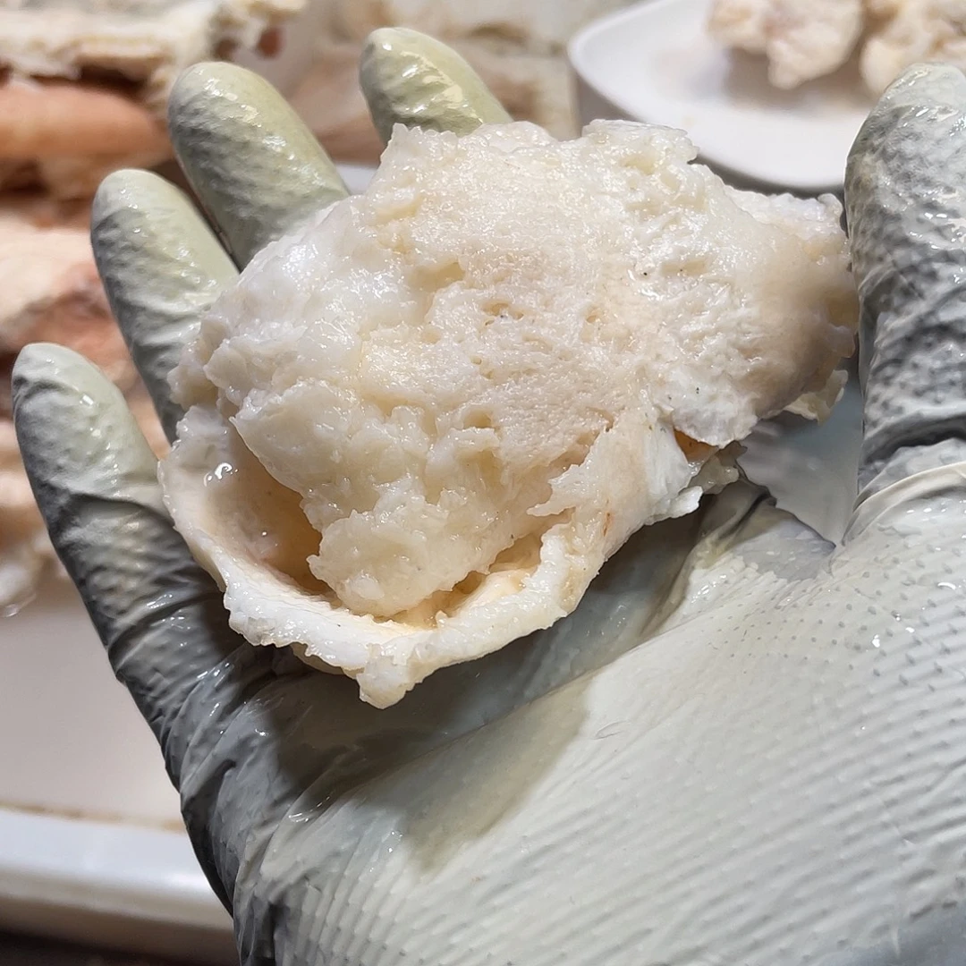 寒***龙有机玻璃长白山太岁肉灵芝