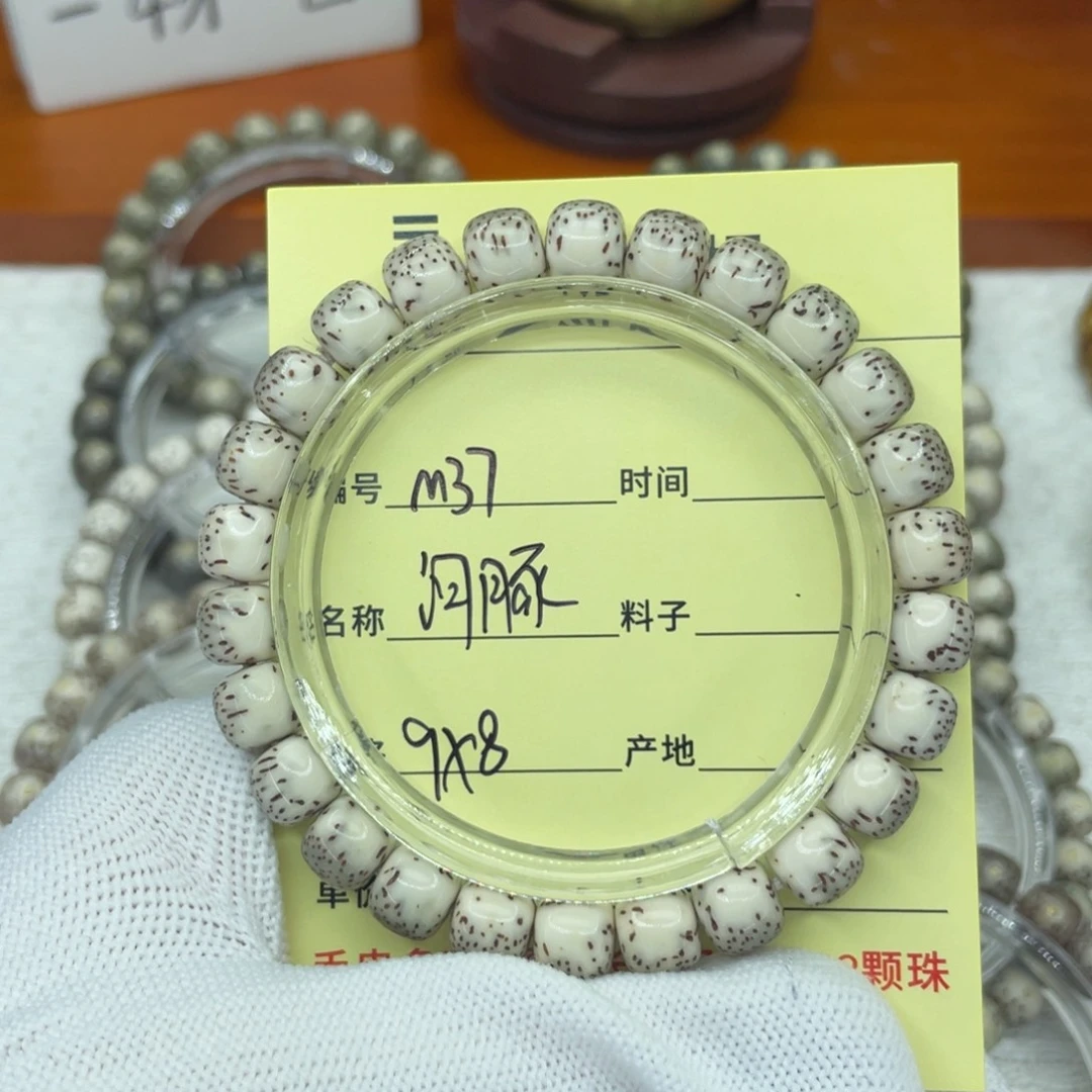 菩提籽类M糯河豚。
