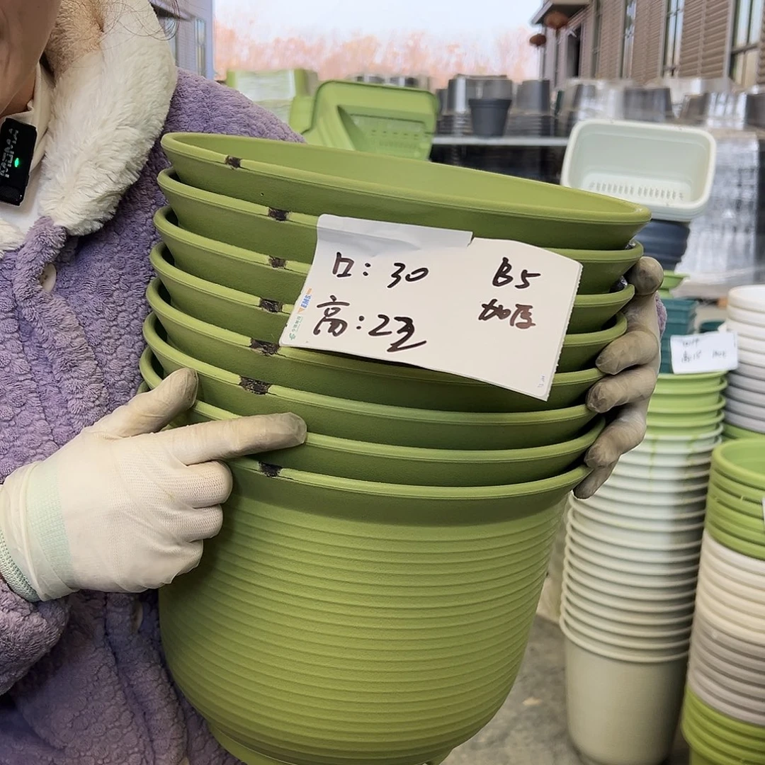 瑕疵仿陶B5果绿5个无托