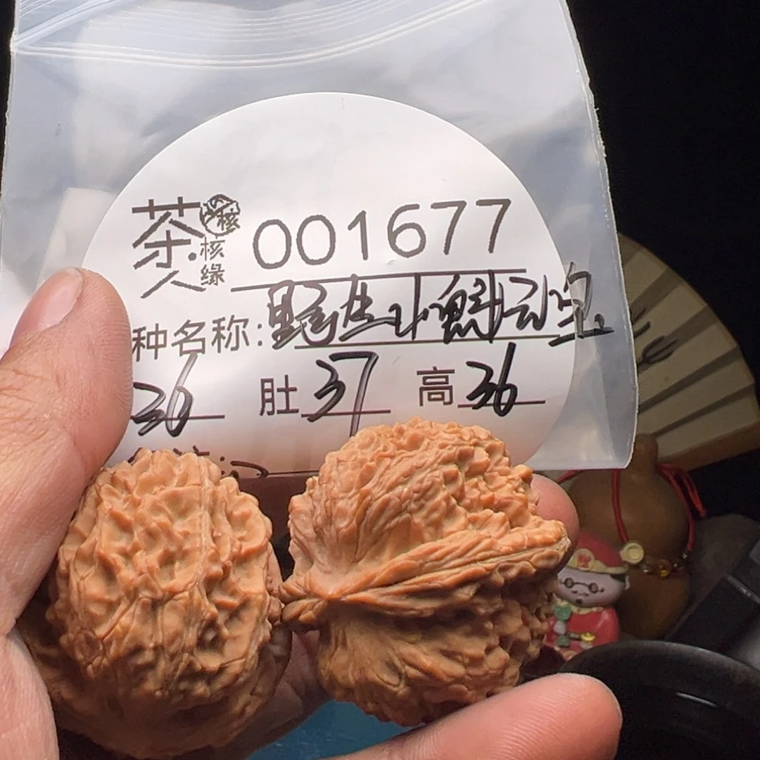 文玩核桃吊坠今天