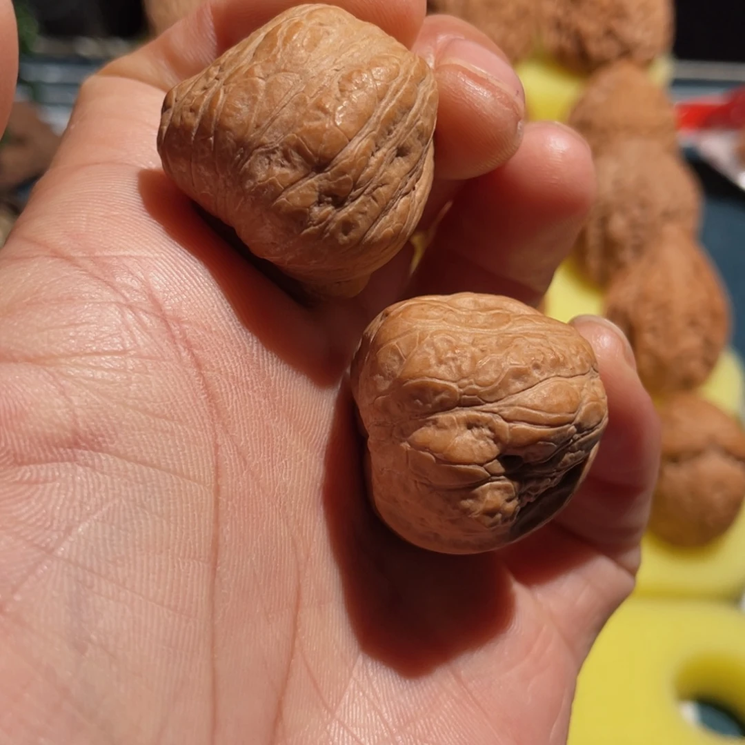 小***马文玩核桃吊坠31全品玉蟾