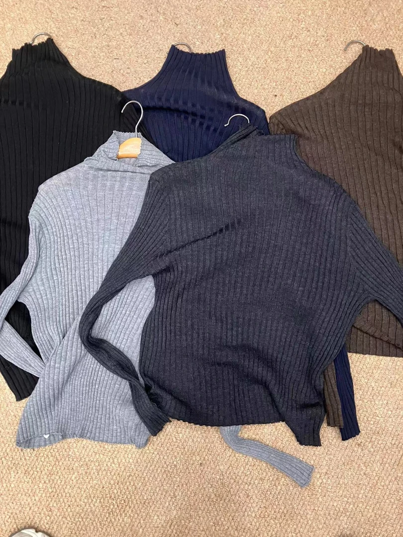 1043 晶范家【五色打底T】