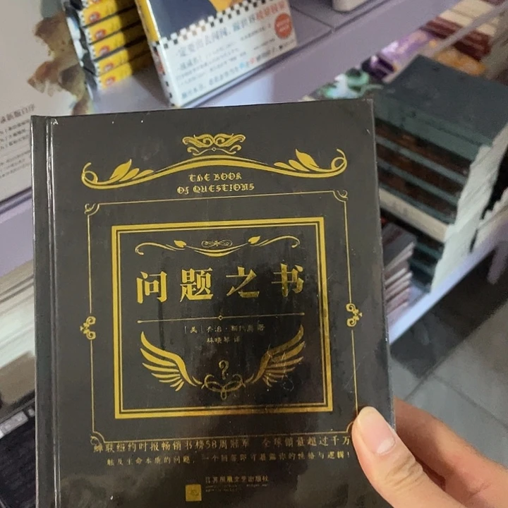 问题之书精装带塑封