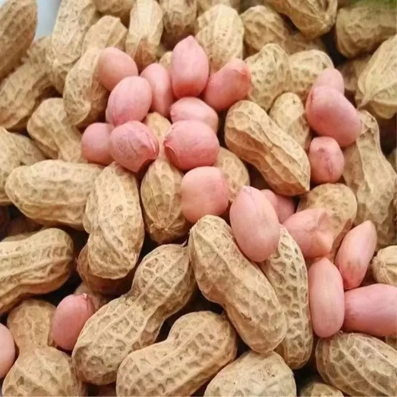 农家新鲜带泥湿花生