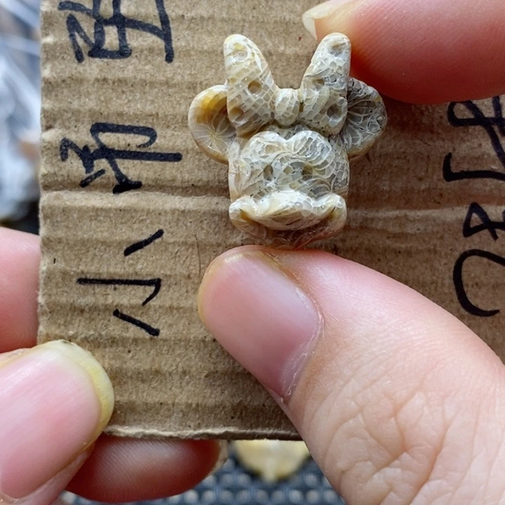 硅化珊瑚（珊瑚玉）颈饰未镶嵌