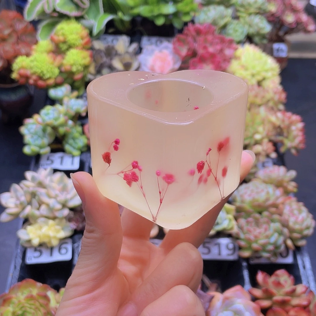 花钱花钱花钱花钱