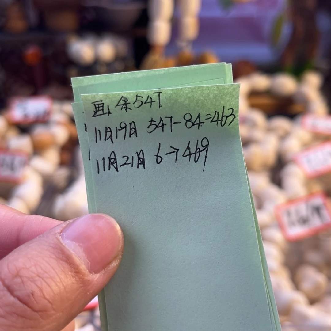 *****手串菩提根/象牙果画宝预存6米