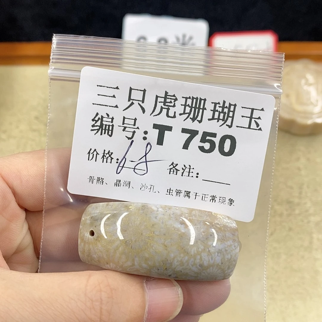硅化珊瑚（珊瑚玉）1未镶嵌元*