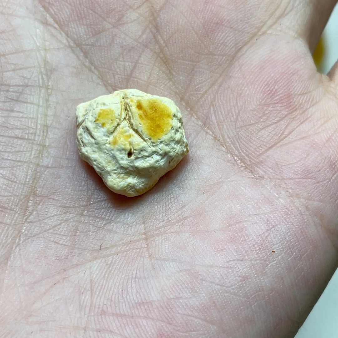 定制琥珀天然原矿