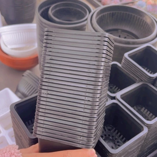 100黑方口9高7一组15个