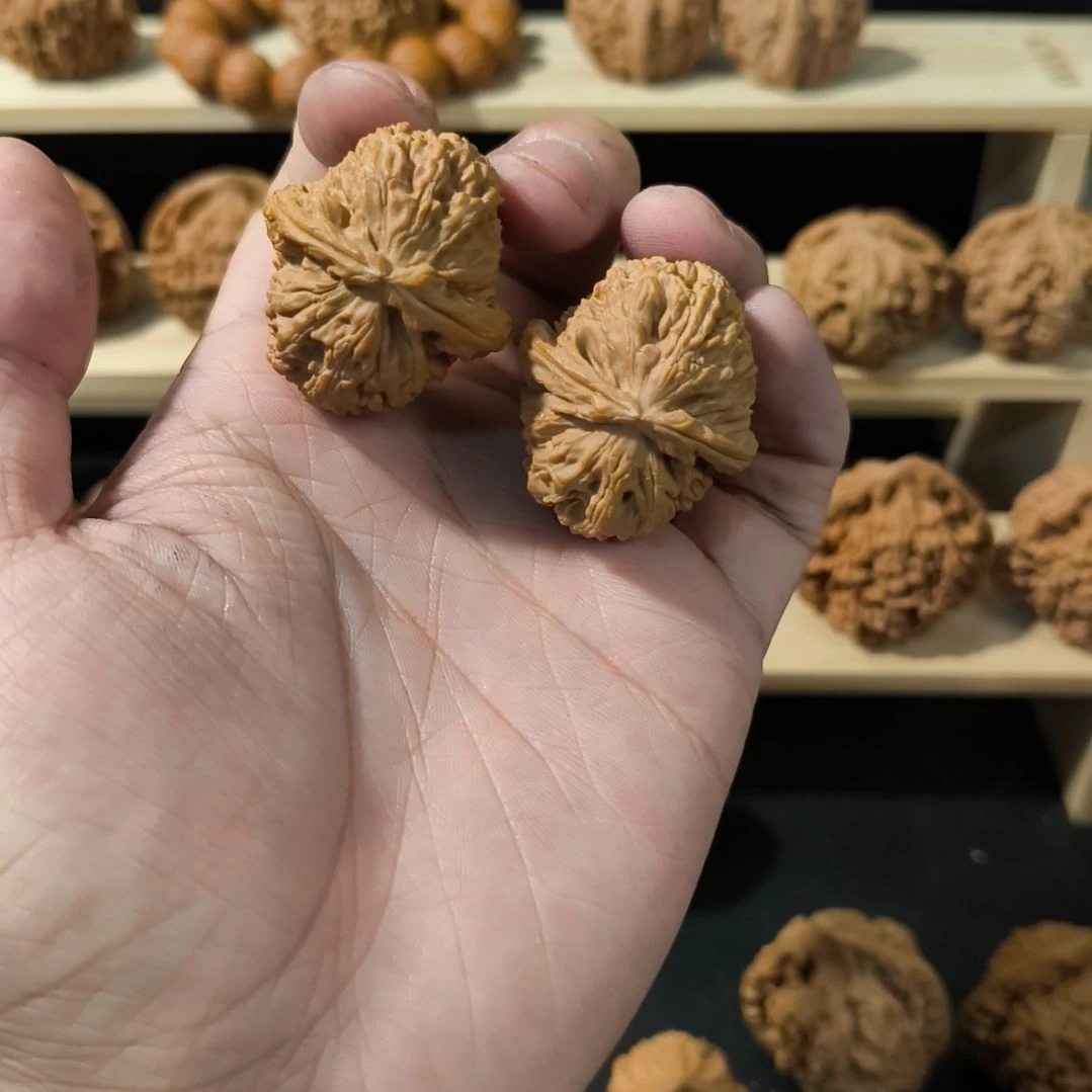 吊坠文玩核桃33+白狮子天残