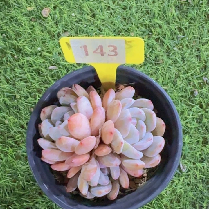 健健康康平平安安