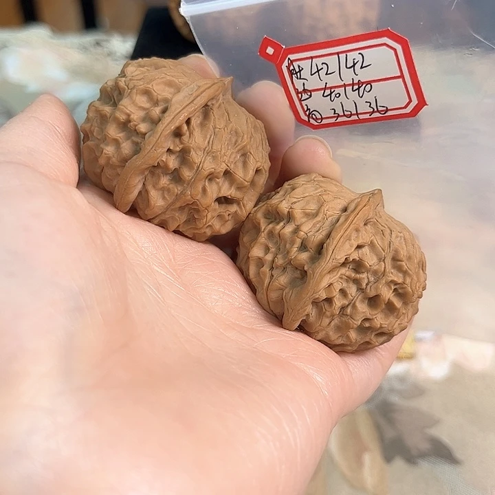 文玩核桃把件想***星非嫁接元宝