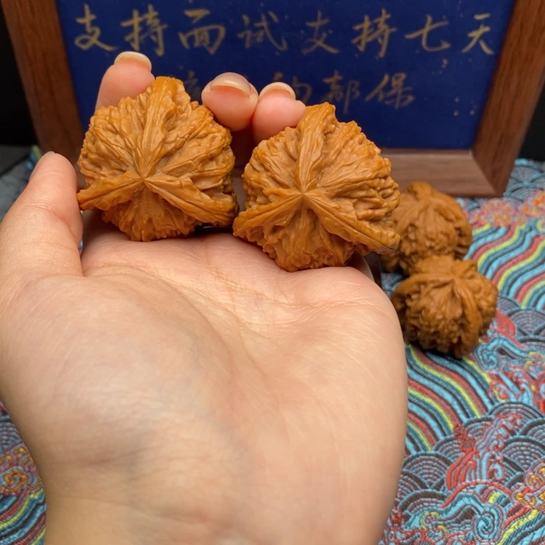 【闪购商品】皮****酱白狮