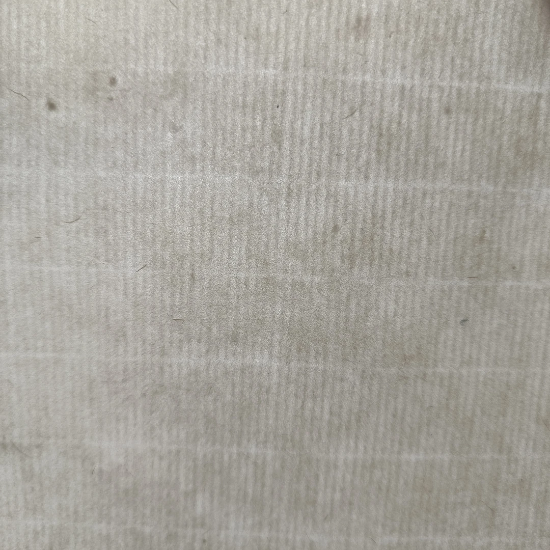 小品纸随机一份