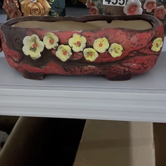 多肉植物花盆花盆